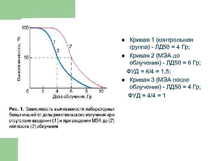 Кривая 1 (контрольная группа) ЛД 50 = 4 Гр; l Кривая 2 (МЭА до