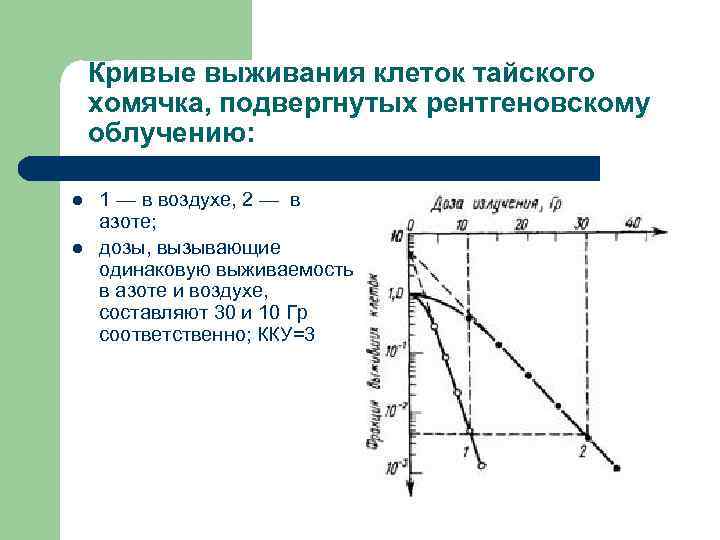 Кривые выживания клеток тайского хомячка, подвергнутых рентгеновскому облучению: l l 1 — в воздухе,