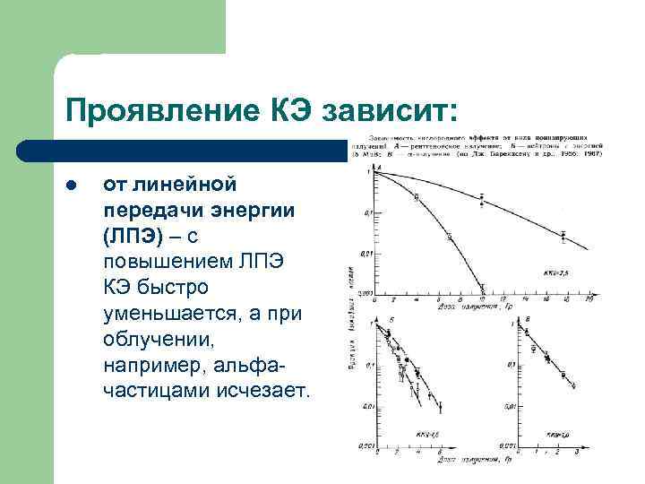 Проявление КЭ зависит: l от линейной передачи энергии (ЛПЭ) – с повышением ЛПЭ КЭ