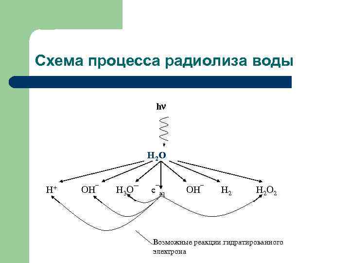 Схема процесса радиолиза воды h H 2 O H+ OH¯ H 3 O¯ e¯aq