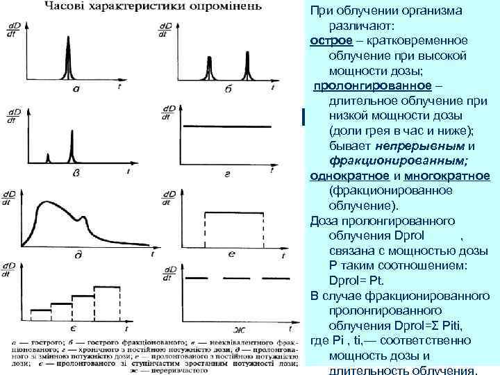 При облучении организма различают: острое – кратковременное облучение при высокой мощности дозы; пролонгированное –