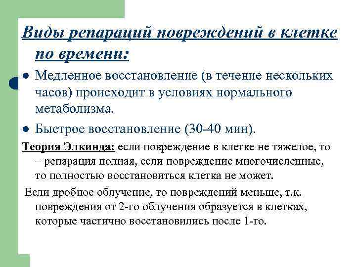 Виды репараций повреждений в клетке по времени: l l Медленное восстановление (в течение нескольких