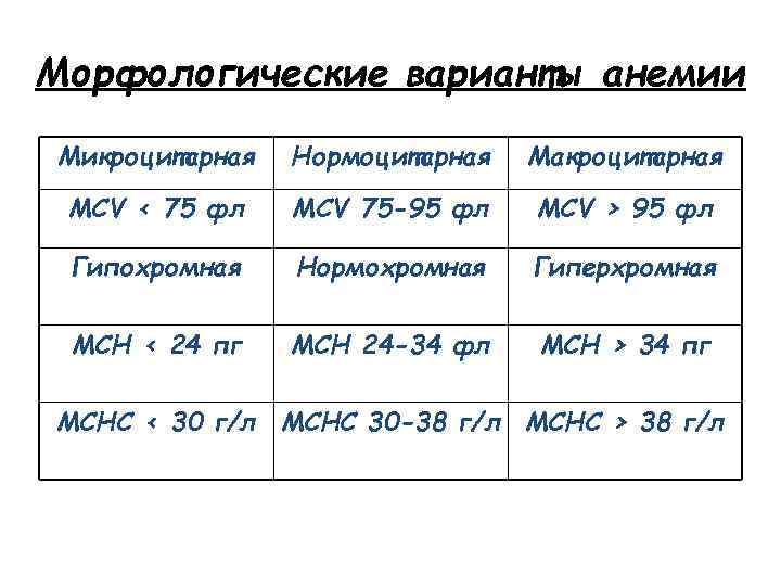 Морфологические варианты анемии Микроцитарная Нормоцитарная Макроцитарная MCV < 75 фл MCV 75 -95 фл