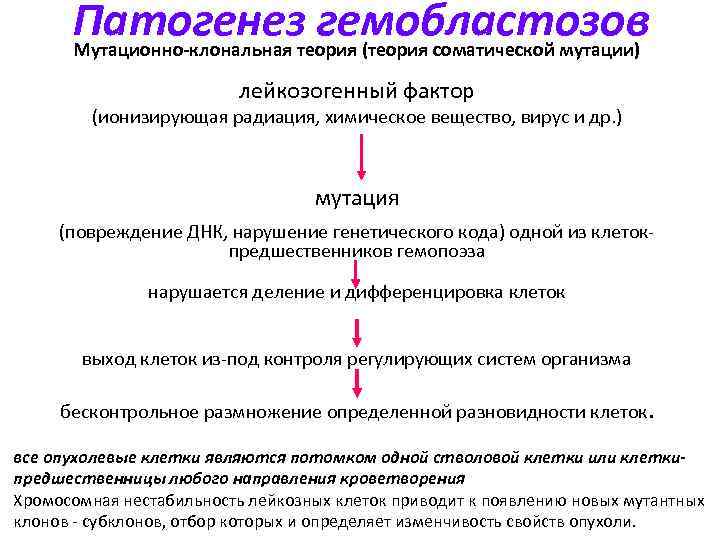 Презентация на тему гемобластозы