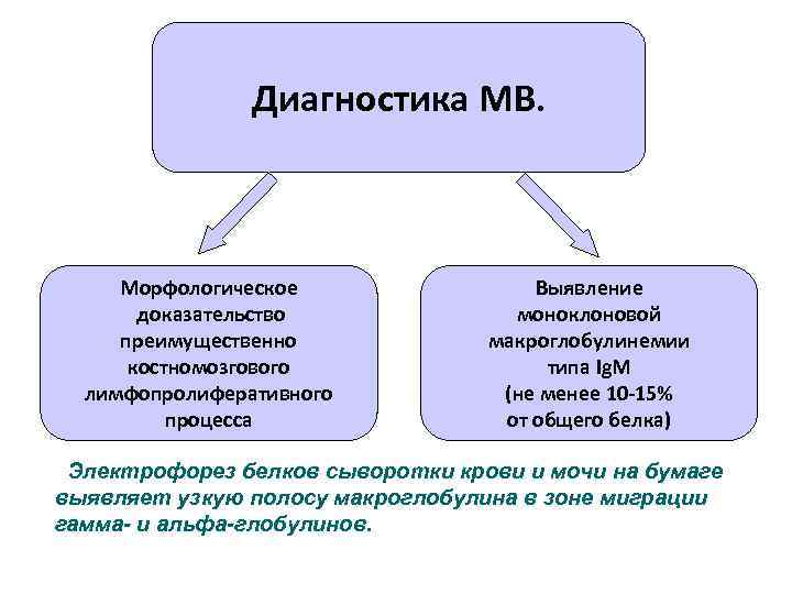 Диагностика МВ. Морфологическое доказательство преимущественно костномозгового лимфопролиферативного процесса Выявление моноклоновой макроглобулинемии типа Ig. M