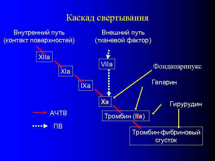 Каскад свертывания Внутренний путь (контакт поверхностей) Внешний путь (тканевой фактор) XIIa VIIa XIa Фондапаринукс