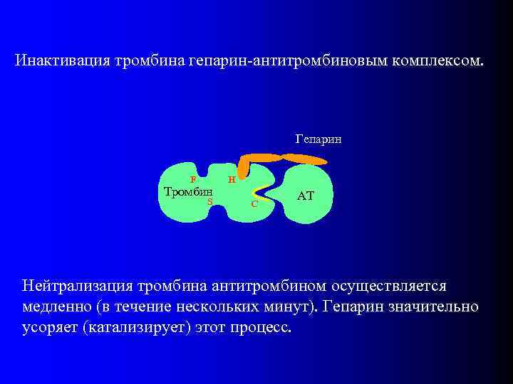 Инактивация тромбина гепарин-антитромбиновым комплексом. Гепарин F Тромбин S H C AT Нейтрализация тромбина антитромбином