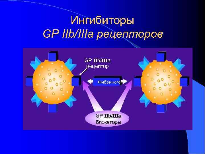 Ингибиторы GP IIb/IIIa рецепторов GP IIb/IIIa рецептор Фибриноген GP IIb/IIIa блокаторы 