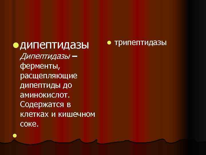 l дипептидазы Дипептидазы – ферменты, расщепляющие дипептиды до аминокислот. Содержатся в клетках и кишечном
