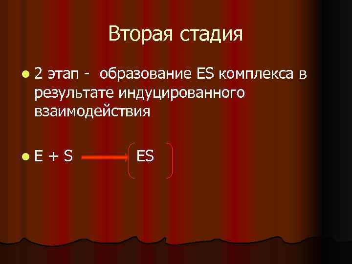 Вторая стадия l 2 этап образование ЕS комплекса в результате индуцированного взаимодействия l. Е