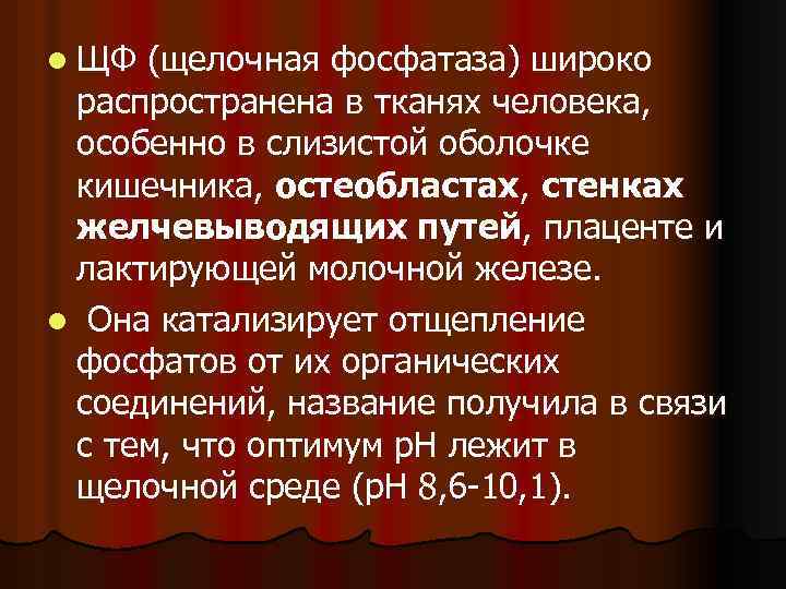 l ЩФ (щелочная фосфатаза) широко распространена в тканях человека, особенно в слизистой оболочке кишечника,