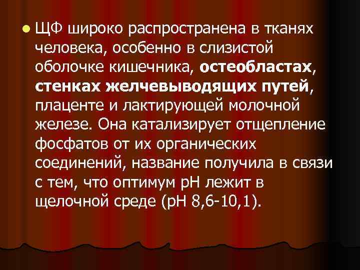 l ЩФ широко распространена в тканях человека, особенно в слизистой оболочке кишечника, остеобластах, стенках