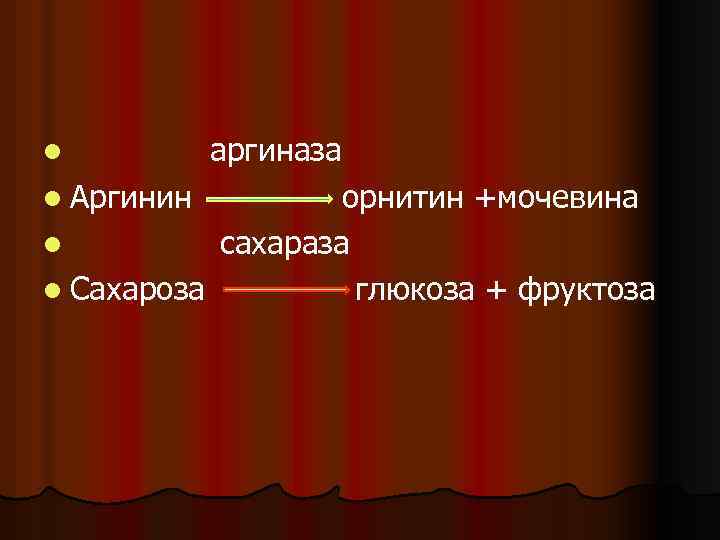 аргиназа l Аргинин орнитин +мочевина l сахараза l Сахароза глюкоза + фруктоза l 