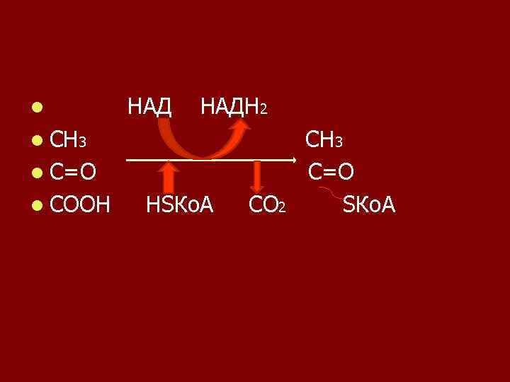 Сн3 с сн3 2 сн3. Сн3-со-SKOA +СН сн3 со SKOA. Сн3. Сн3-сн3. Сн3-с(о)-соон + Наdh + h+.