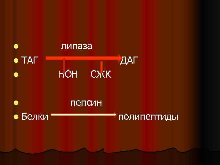 l липаза l ТАГ l l l Белки ДАГ НОН СЖК пепсин полипептиды 