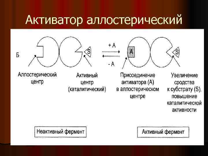 Активатор аллостерический 