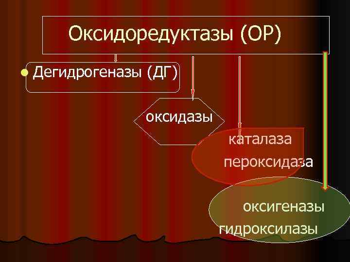 Оксидоредуктазы (ОР) l Дегидрогеназы (ДГ) оксидазы каталаза пероксидаза оксигеназы гидроксилазы 