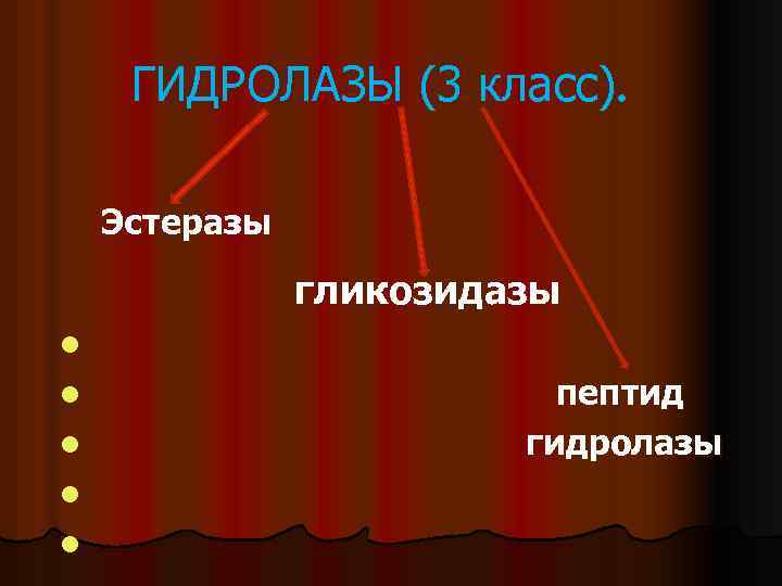ГИДРОЛАЗЫ (3 класс). Эстеразы гликозидазы l l пептид l гидролазы l l 
