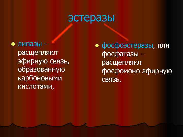эстеразы l липазы расщепляют эфирную связь, образованную карбоновыми кислотами, l фосфоэстеразы, или фосфатазы –