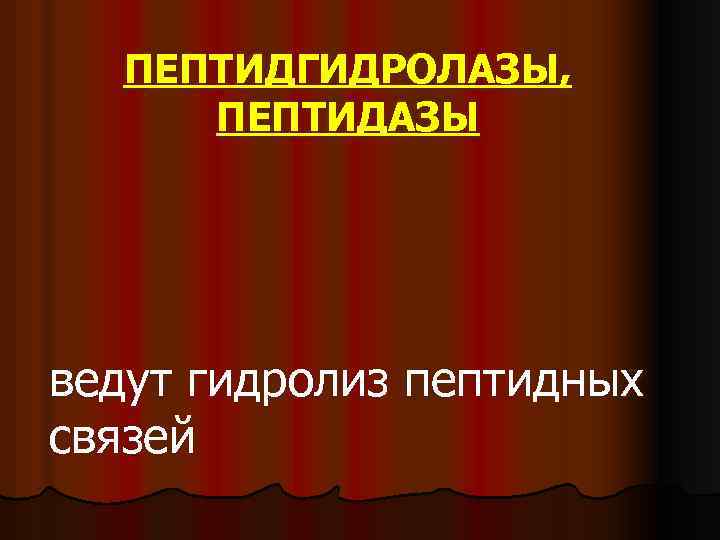 ПЕПТИДГИДРОЛАЗЫ, ПЕПТИДАЗЫ ведут гидролиз пептидных связей 