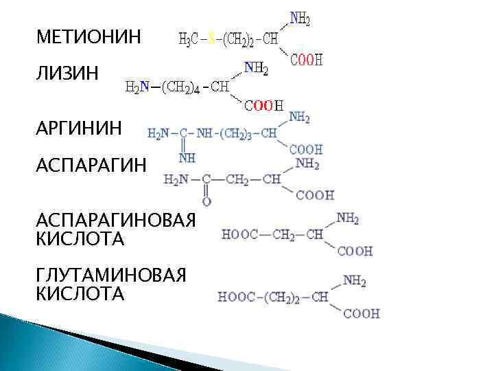 Аспарагиновая кислота формула. Аргинин и аспарагиновая кислота. Аспарагиновая кислота структурная формула. Аспарагиновая аминокислота формула. Лизин и глутаминовая кислота.