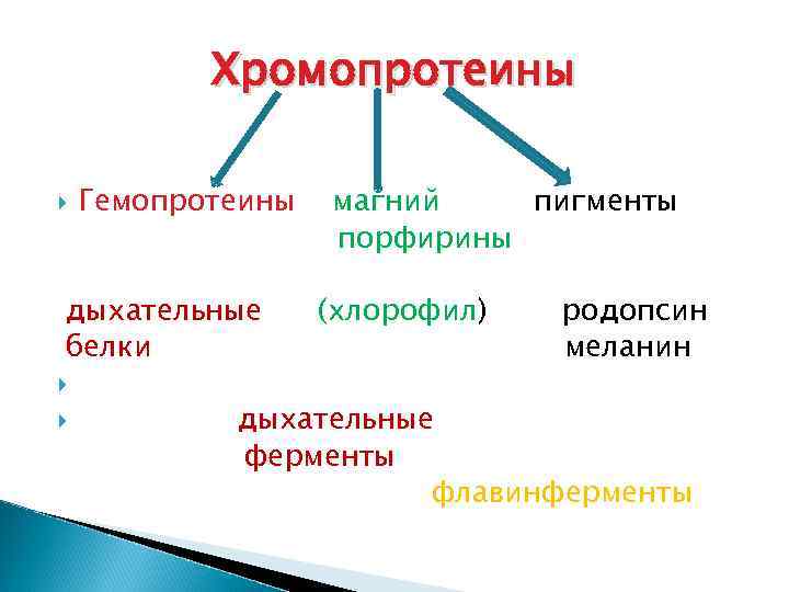 Хромопротеины Гемопротеины дыхательные белки магний пигменты порфирины (хлорофил) родопсин меланин дыхательные ферменты флавинферменты 