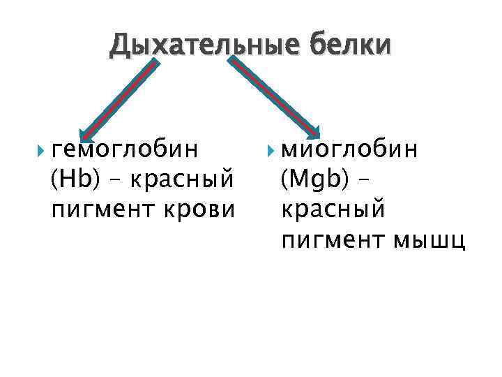 Дыхательные белки гемоглобин (Нb) – красный пигмент крови миоглобин (Мgb) – красный пигмент мышц