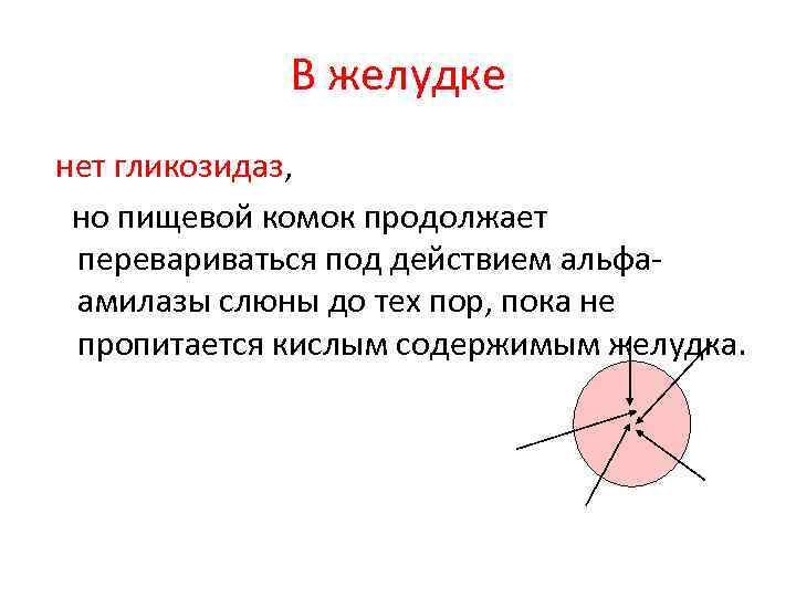 В желудке нет гликозидаз, но пищевой комок продолжает перевариваться под действием альфаамилазы слюны до
