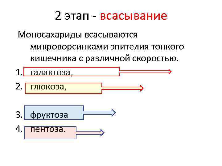 2 этап - всасывание Моносахариды всасываются микроворсинками эпителия тонкого кишечника с различной скоростью. 1.