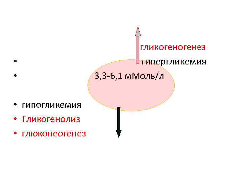  • • • гипогликемия • Гликогенолиз • глюконеогенез гликогенез гипергликемия 3, 3 -6,