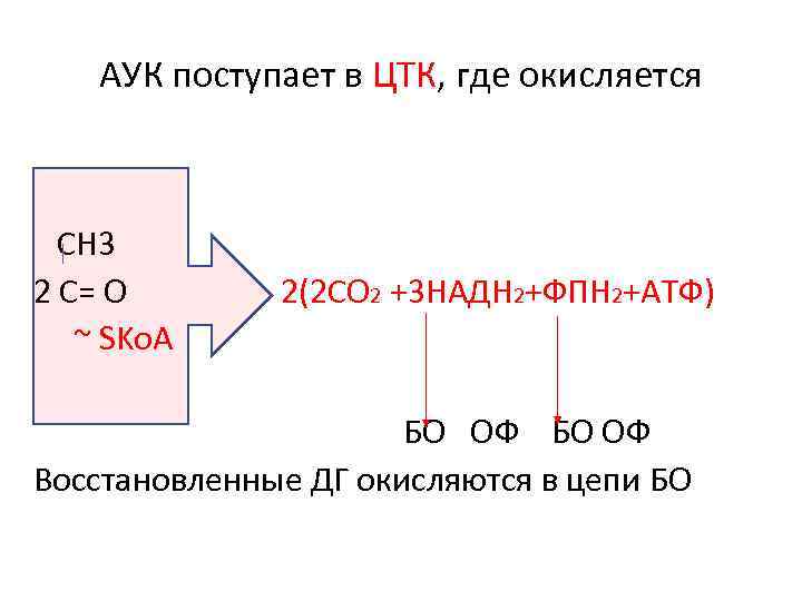 АУК поступает в ЦТК, где окисляется СН 3 2 С= О ~ SKo. A