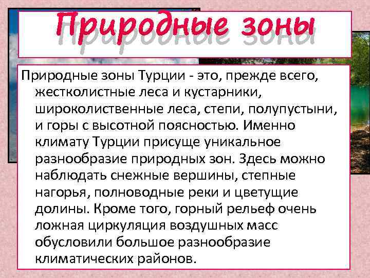 Природные зоны Турции - это, прежде всего, жестколистные леса и кустарники, широколиственные леса, степи,