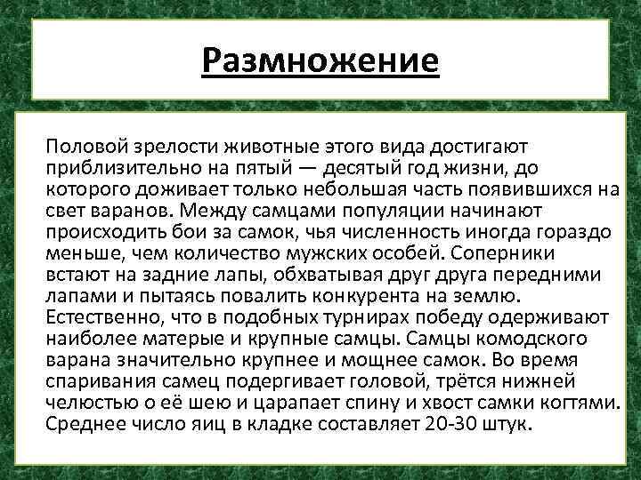 Размножение Половой зрелости животные этого вида достигают приблизительно на пятый — десятый год жизни,