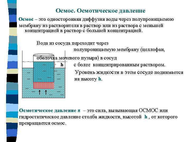 Осмотическое давление это простыми словами