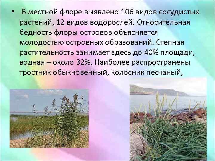  • В местной флоре выявлено 106 видов сосудистых растений, 12 видов водорослей. Относительная