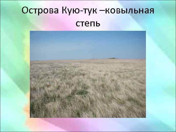 Острова Кую-тук –ковыльная степь 