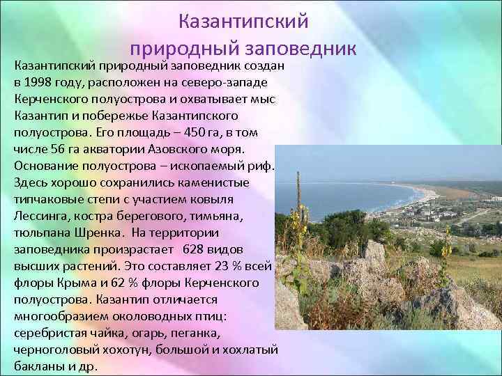 Казантипский природный заповедник • Казантипский природный заповедник создан в 1998 году, расположен на северо-западе