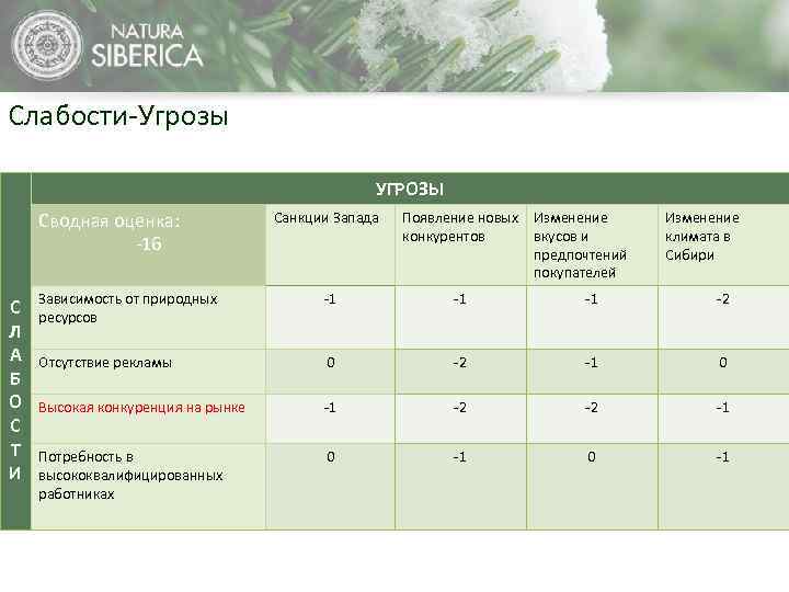 Слабости-Угрозы УГРОЗЫ Сводная оценка: -16 С Л А Б О С Т И Санкции