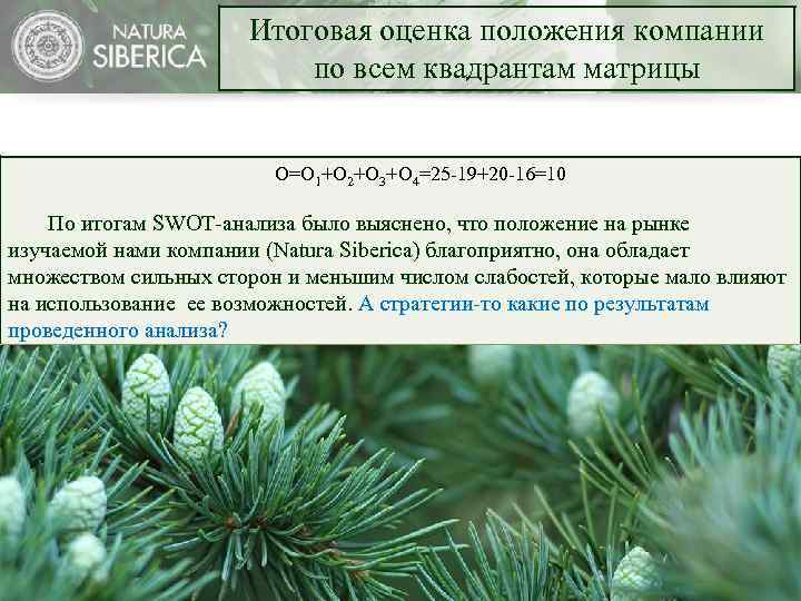 Итоговая оценка положения компании по всем квадрантам матрицы O=O 1+O 2+O 3+O 4=25 -19+20
