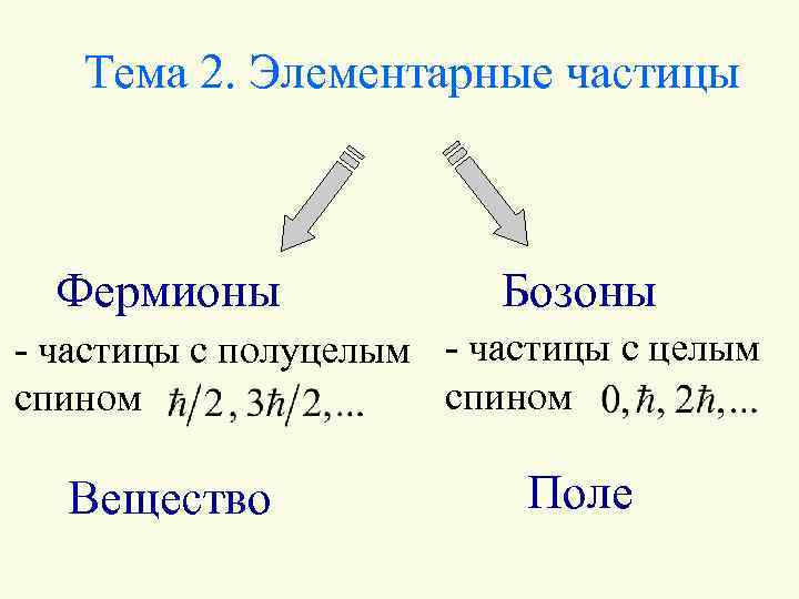 Тема 2. Элементарные частицы Фермионы Бозоны - частицы с полуцелым - частицы с целым