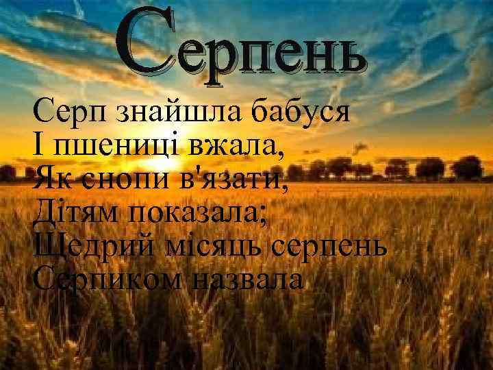 Серпень Серп знайшла бабуся І пшениці вжала, Як снопи в'язати, Дітям показала; Щедрий місяць