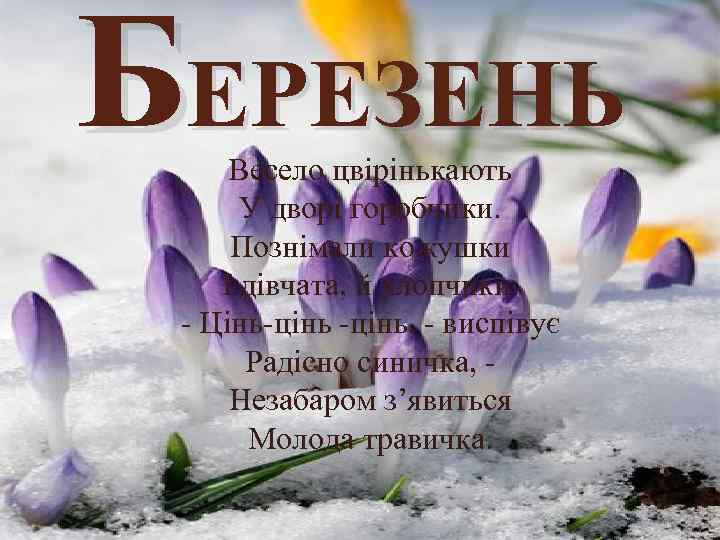 БЕРЕЗЕНЬ Весело цвірінькають У дворі горобчики. Познімали кожушки І дівчата, й хлопчики. - Цінь-цінь,