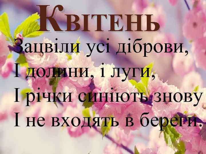 КВІТЕНЬ Зацвіли усі діброви, І долини, і луги, І річки синіють знову І не