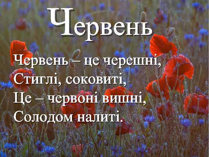 Червень – це черешні, Стиглі, соковиті, Це – червоні вишні, Солодом налиті. 