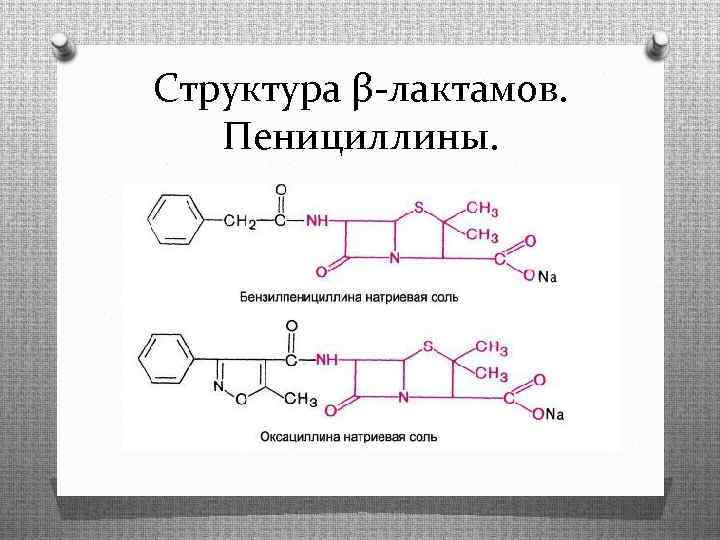 Структура β-лактамов. Пенициллины. 