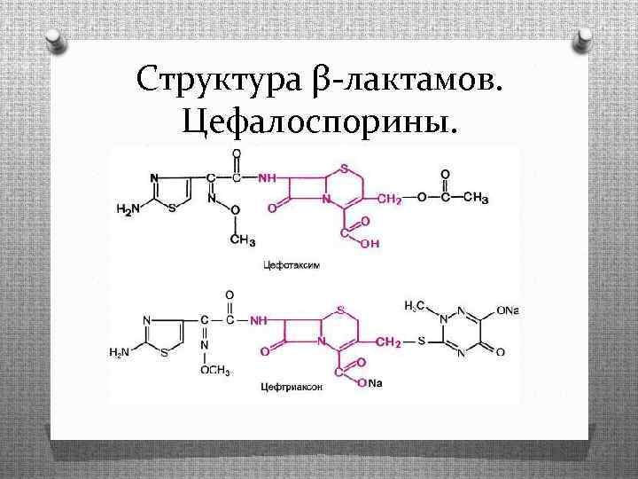 Структура β-лактамов. Цефалоспорины. 