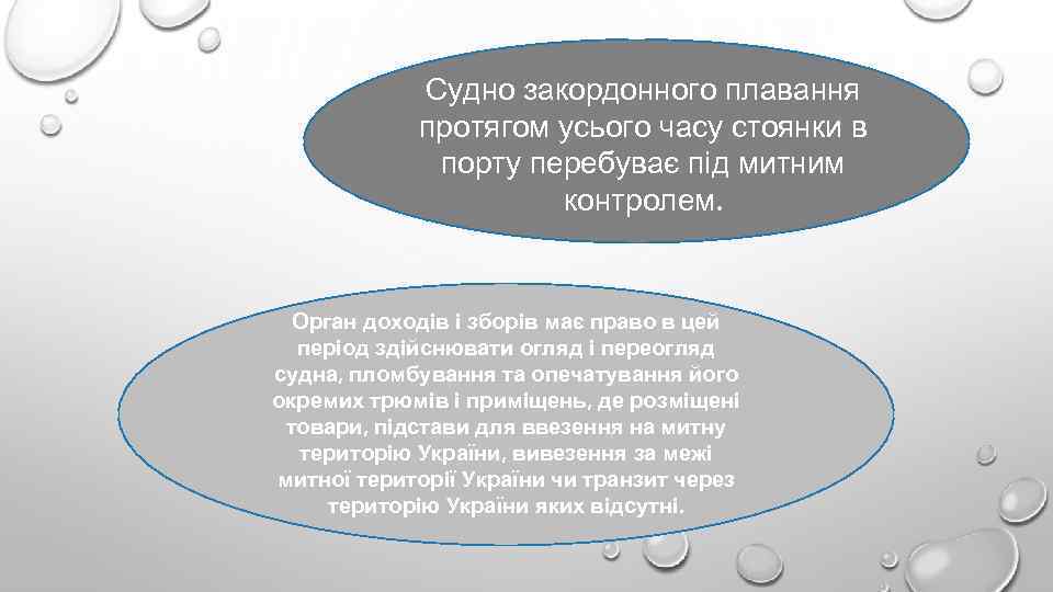 Судно закордонного плавання протягом усього часу стоянки в порту перебуває під митним контролем. Орган