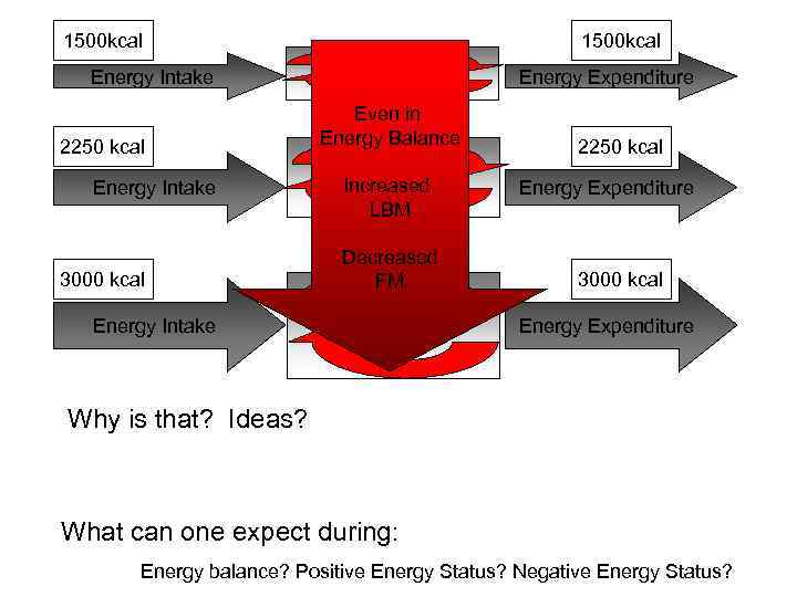 1500 kcal Energy Intake 2250 kcal Energy Intake 3000 kcal Energy Intake 1500 kcal