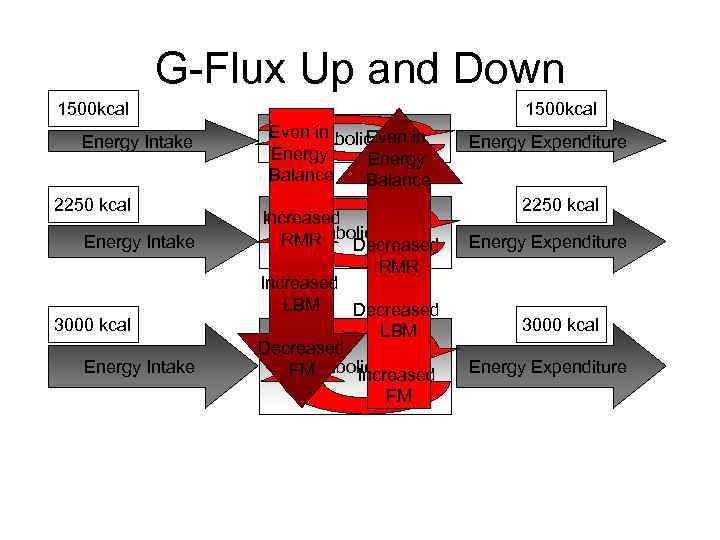 G-Flux Up and Down 1500 kcal Energy Intake 2250 kcal Energy Intake 3000 kcal