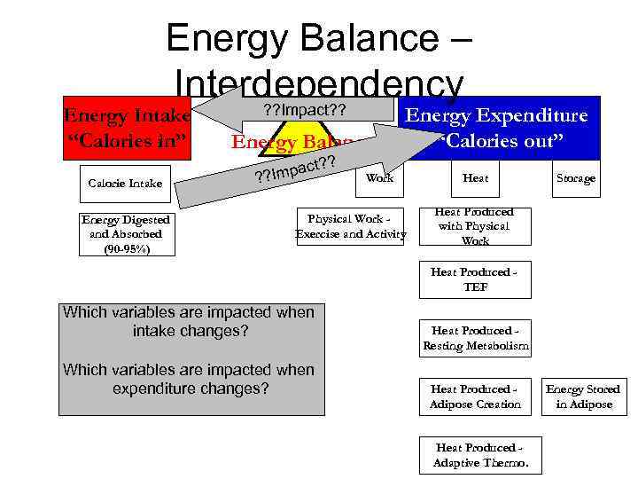 Energy Balance – Interdependency ? ? Impact? ? Energy Intake “Calories in” Calorie Intake